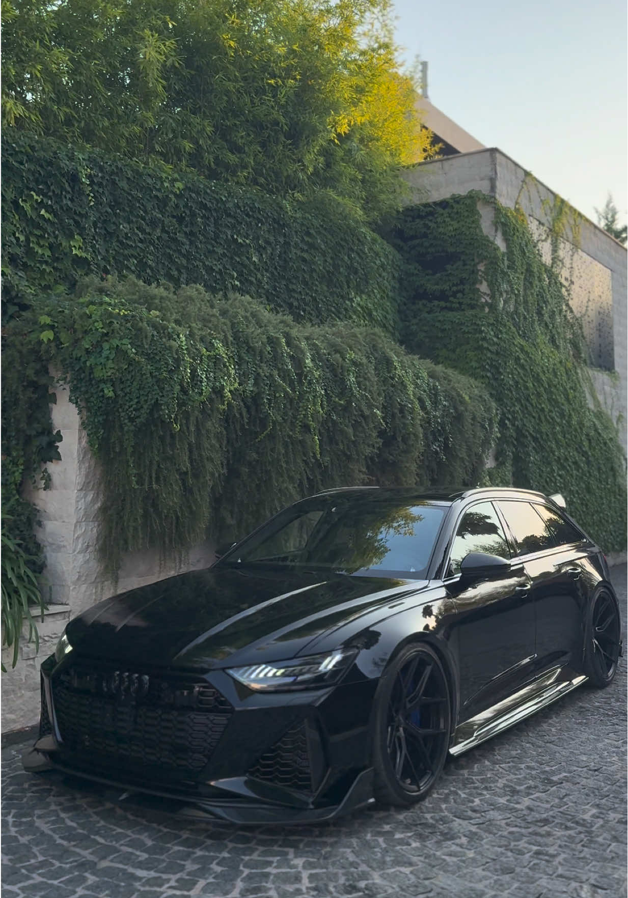 🖤🦍😈 #fy #fyp #zatebe #zatebestrana #rs6 