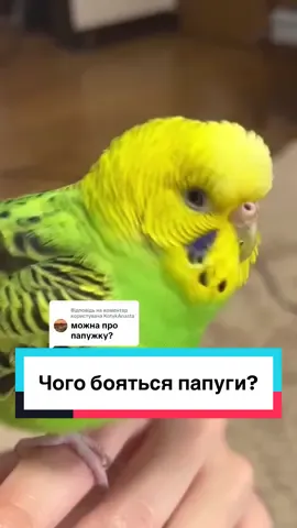 Відповідь користувачу @KotykAnasta  #зооветконтинент 