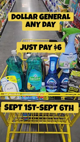 $6.91 for 9 items! any day deal this week #dollargeneral #dollargeneralcouponing #couponingdealsthisweek #coupons #weekly 