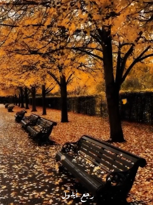 رجع أيلول..🧡🍁🍂 فيروز #فيروز #رجع_ايلول #اكسبلور #تصميمي #CapCut 