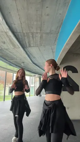 🖤🖤 #trends #twins #IceSkating 