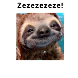 zezezeze!! VS AAHHHHH!!#se #zezeze!!#AAHHHHH!!#dublagembr #viraltiktok 