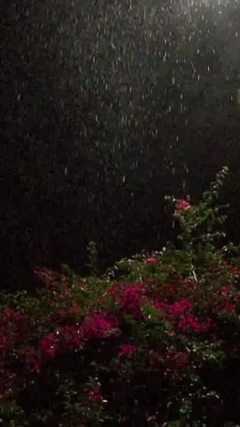 #مطر 