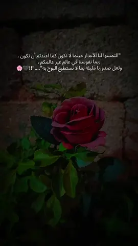 يقولون رسائل الغرباء تجبر الخاطر 🤍  #تصويري📷 #بدون_موسيقى☕🖤 