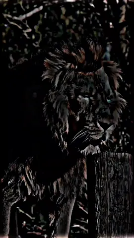 #🔥🔥🔥🔥🔥🔥🔥🔥🔥🔥 #شركة #مجرد________ذووووووق🎶🎵💞 #تصميم_فيديوهات🎶🎤🎬 #شركة TikTok ، الفيديو الخاص بي لا ينتهك أي إرشادات مجتمعية. شكرا لك ، عميل TikTok ، مرحبا بشركة TikTok ، الفيديو الخاص بي لا ينتهك أي إرشادات مجتمعية. شكرا لك ، عميل TikTok ، مرحبا بشركة TikTok ، الفيديو الخاص بي لا ينتهك أي إرشادات مجتمعية. شكرًا لك ، عميل TikTok ، مرحبا بشركة TikTok ، الفيديو الخاص بي لا ينتهك أي إرشادات مجتمعية. شكرا لك ، عميل TikTok ، مرحبا بشركة TikTok ، الفيديو الخاص بي لا ينتهك أي إرشادات مجتمعية. شكرا لك ، عميل TikTok ، مرحبا بشركة TikTok ، الفيديو الخاص بي لا ينتهك أي إرشادات مجتمعية. شكرا لك ، عميل TikTok ، مرحبا بشركة TikTok ، الفيديو الخاص بي لا ينتهك أي إرشادات مجتمعية. شكرا لك ، عميل TikTok ، مرحبا بشركة TikTok ، الفيديو الخاص بي لا ينتهك أي إرشادات مجتمعية. شكرا لك ، عميل TikTok ، مرحبا بشركة TikTok ، الفيديو الخاص بي لا ينتهك أي إرشادات مجتمعية. شكرا لك عميل تيك توك