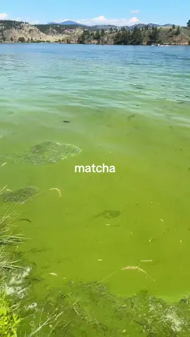 #fyppppppppppppppppppppppp #matcha #green #nature #lake 