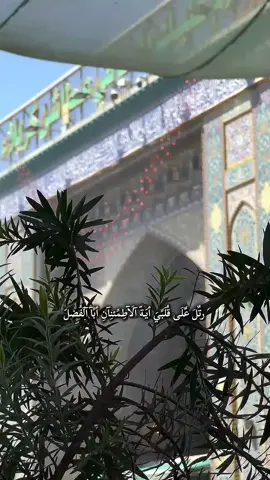#نبض_لله #المختارالثقفي #كربلاء_المقدسة #مشاهدات #العتبة_الحسينية_المقدسة @نبض_لله 