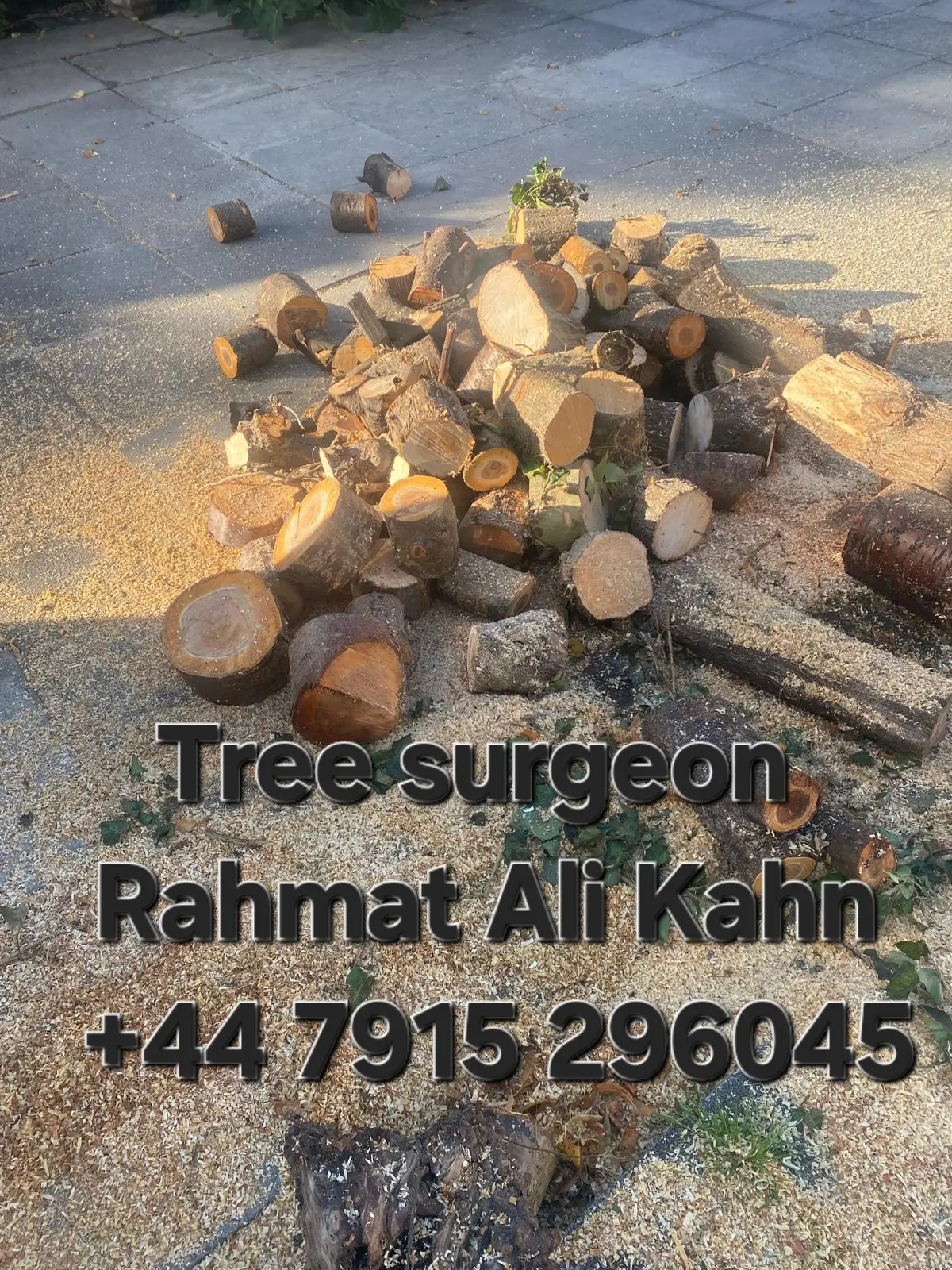 great guy for garden cleaning services and Tree cutting excellent on prices too 
