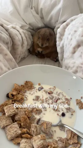 Repost please 🤗🫶🏻🫶🏻 #prairiedog 