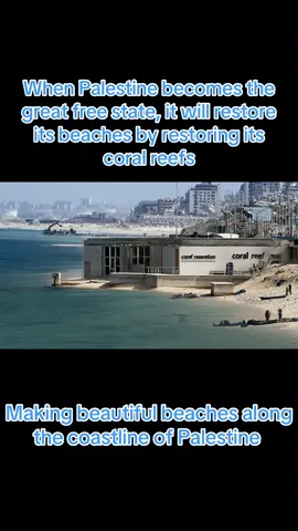 All the beaches will be the best in the world by having a coral restoration centre and Palestine will have the most amazing beaches in the world #palestine #gaza #fyp 