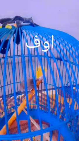 #💔💔💔💔💔🥀🥀🥀🥀😭😢😢😢 #مكسور_قلبي_على_من_احببت_وفارقت_ 