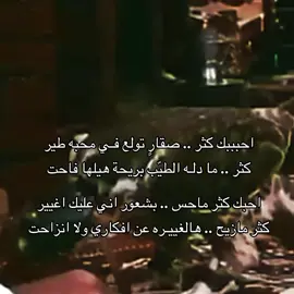 تولع في محبه طيير . #شيلات #قصيد #fyp #اكسبلور #شعر 