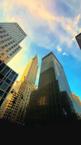 #nyc #driver #foryoupage #viral #fyp 