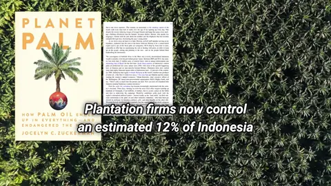 Climate town Climate change #climateaction #climatechange #climate #xybzca #fyp 