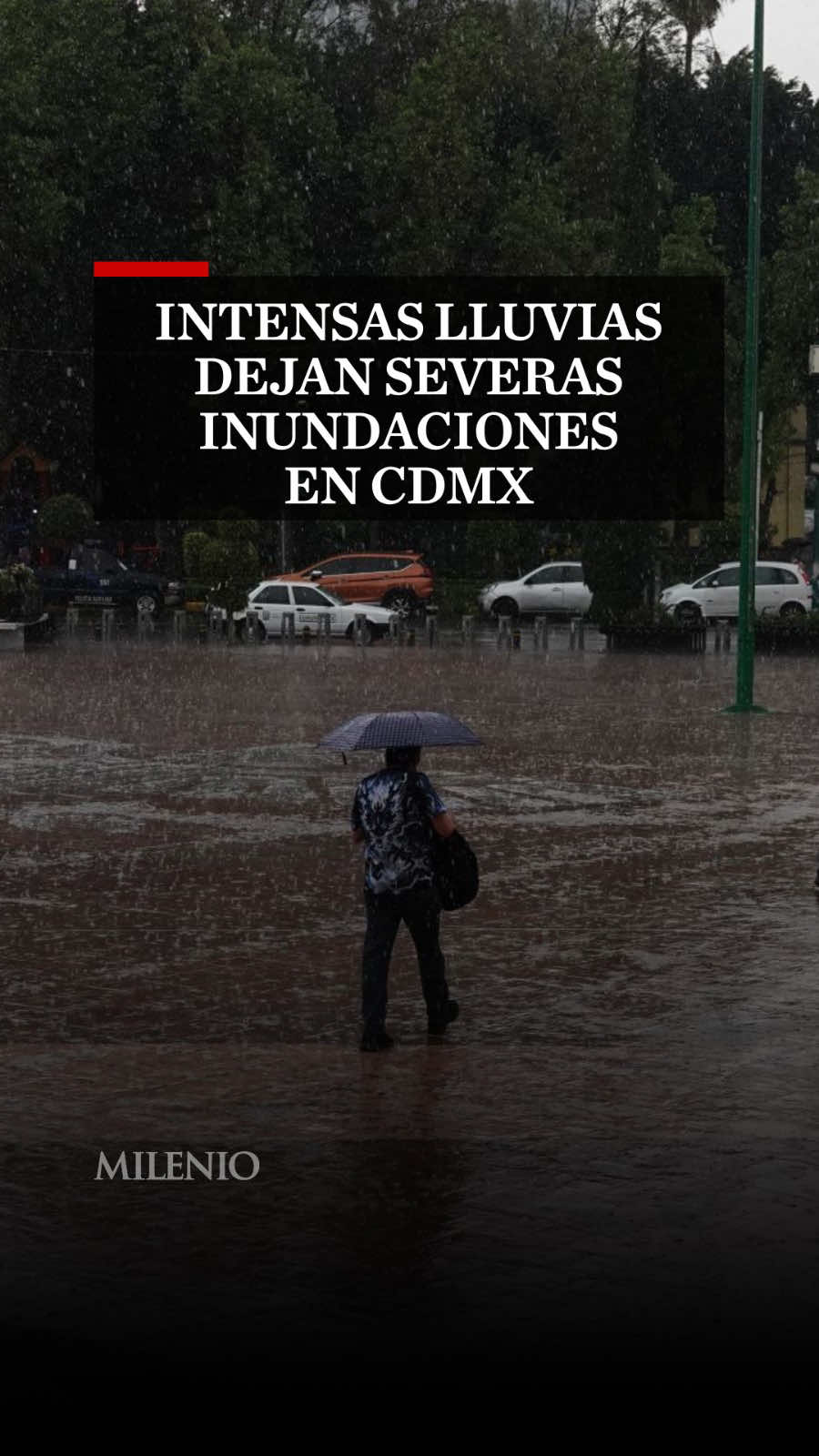 🌧️ Las lluvias del 31 de agosto en la CdMx dejaron inundaciones en diversas alcaldías. A través de redes sociales, la Secretaría de Gestión Integral del Agua (SEGIAGUA), informó que a través del programa Tlaloque se atendieron reportes en distintas zonas.  En las alcaldías Álvaro Obregón y Magdalena Contreras el nivel del agua subió a más de 50 cm en arterias primarias como el anillo periférico, la avenida San Jerónimo, avenida Toluca y avenida revolución. #Lluvias #CdMx #MilenioInforma #MILENIONoticias