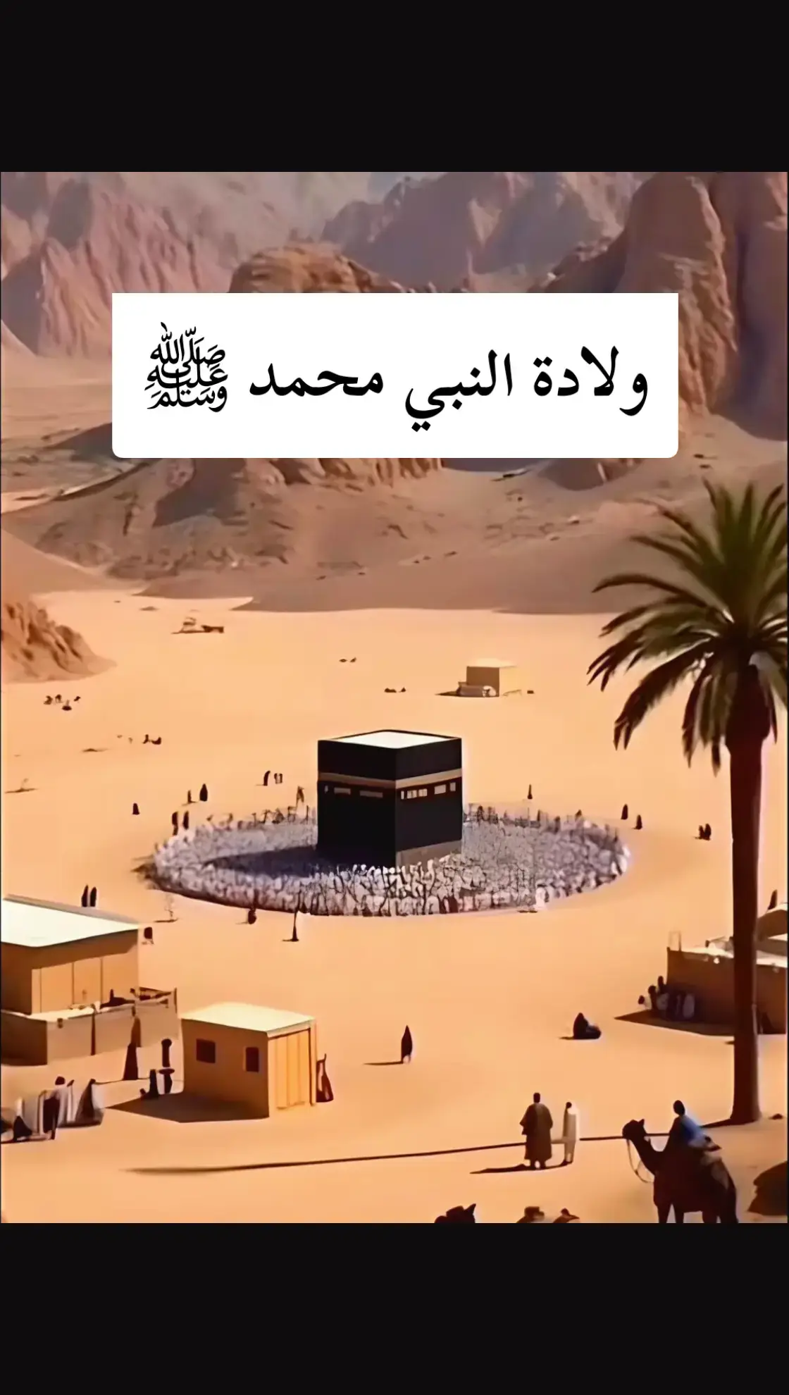 #ولادة_النبي_محمد  #السيرة_النبوية #مولد_النبوي_الشريف_مبارك #اللهم_صلي_على_نبينا_محمد #صلوا_على_رسول_الله 
