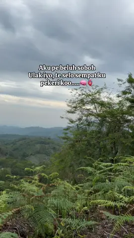 Kiban cara?? 🤣😂😂#fypシ #gayaditiktok #gayoftiktok #takengon #petanimuda #xyzbca 