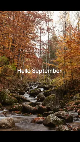 Welcome September. Let Autumn begin. #sweatherweather #autumn #bermonths #fall #fyp