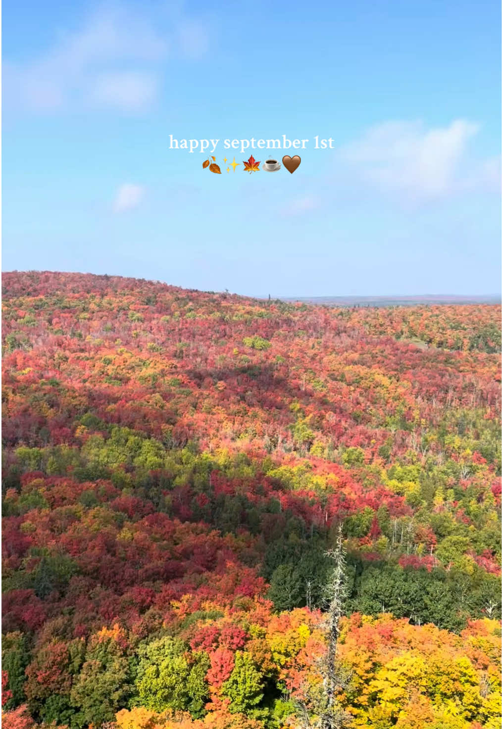 happy September 1st!!! Gearing up to head into the best season of the year 🐻🤎🧦🍂 #September1st #HappyFall #HappySeptember #SeptemberSeason #creatorsearchinsights 