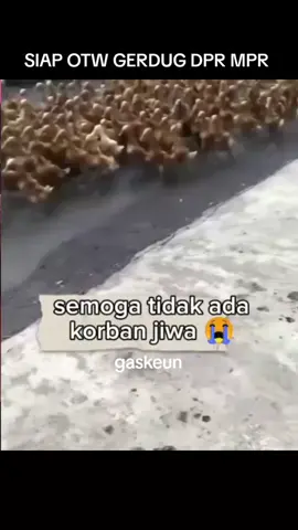 rakyat menuntut bubarkan mpr#otw gedung DPR mpr#rakyat jelata