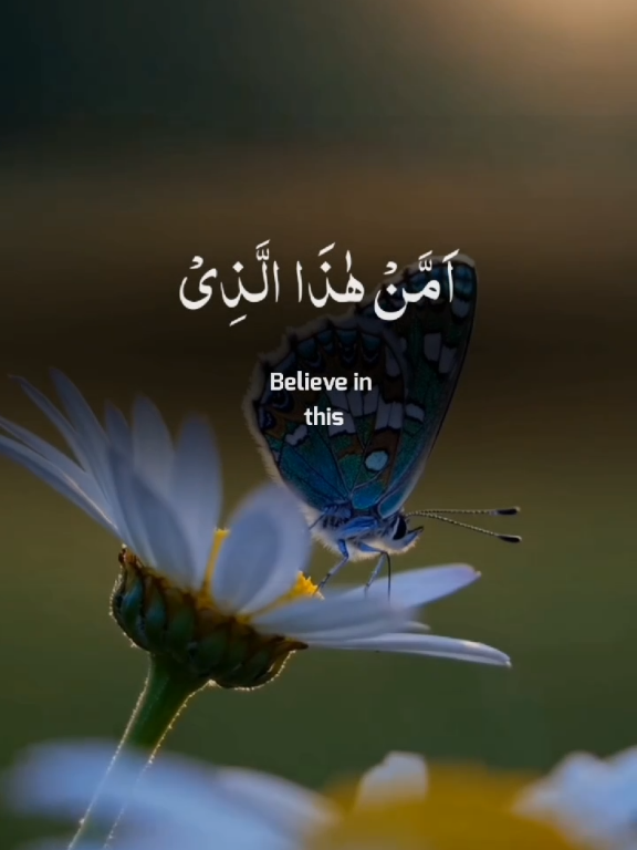 Surah al Mulk.❤️🎧.#quran #recitation #treanding #fyp #unfreezemyacount 