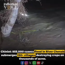 Chiniot: 855,000 cusecs flood in River Chenab submerges 150+ villages, destroying crops on thousands of acres. #Chiniot #Chenab #Floods #PakistanFloods #individualvoicepakistan #individualvoice #iv #ivpakistan 