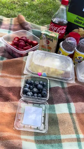 ❤️‍🩹 #fyp #picnic #hermanas #contenido 