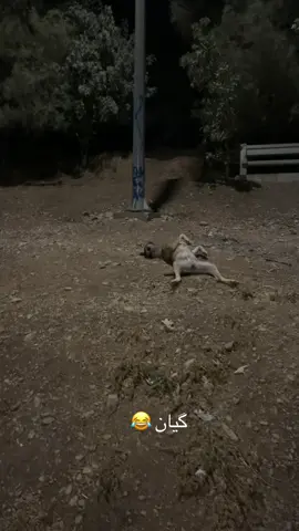 😂😂😂✌🏽