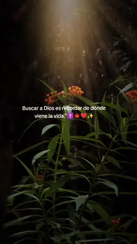 feliz lunes. #parati #naturaleza #fypシ゚ #comparte. 