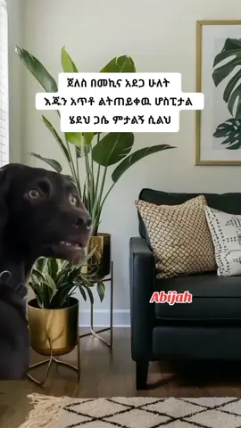 just for meme 🤣🤣🤣