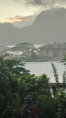 The rain is always beautiful in the islands. I Love You My Samoa! #Home #IslandRain #GodsGift #Blessings 