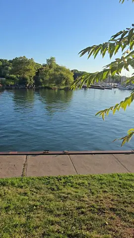 viralvideo #canada_life   #foryou  #foryourpage  #fyp  #fypシ           #         