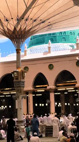اللهم صل وسلم وبارك على سيدنا محمد النور وآله 