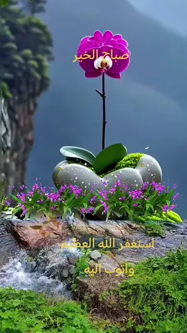 دعاء #دعاء  #اكسبلور  #aleisaei_1  #اكسبلور  #اللهم_صلي_على_نبينا_محمد 
