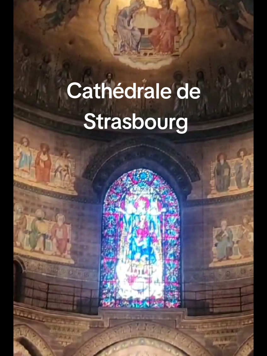 cathédrale de Strasbourg #Strasbourg #pourtoi #fyp #immersion 