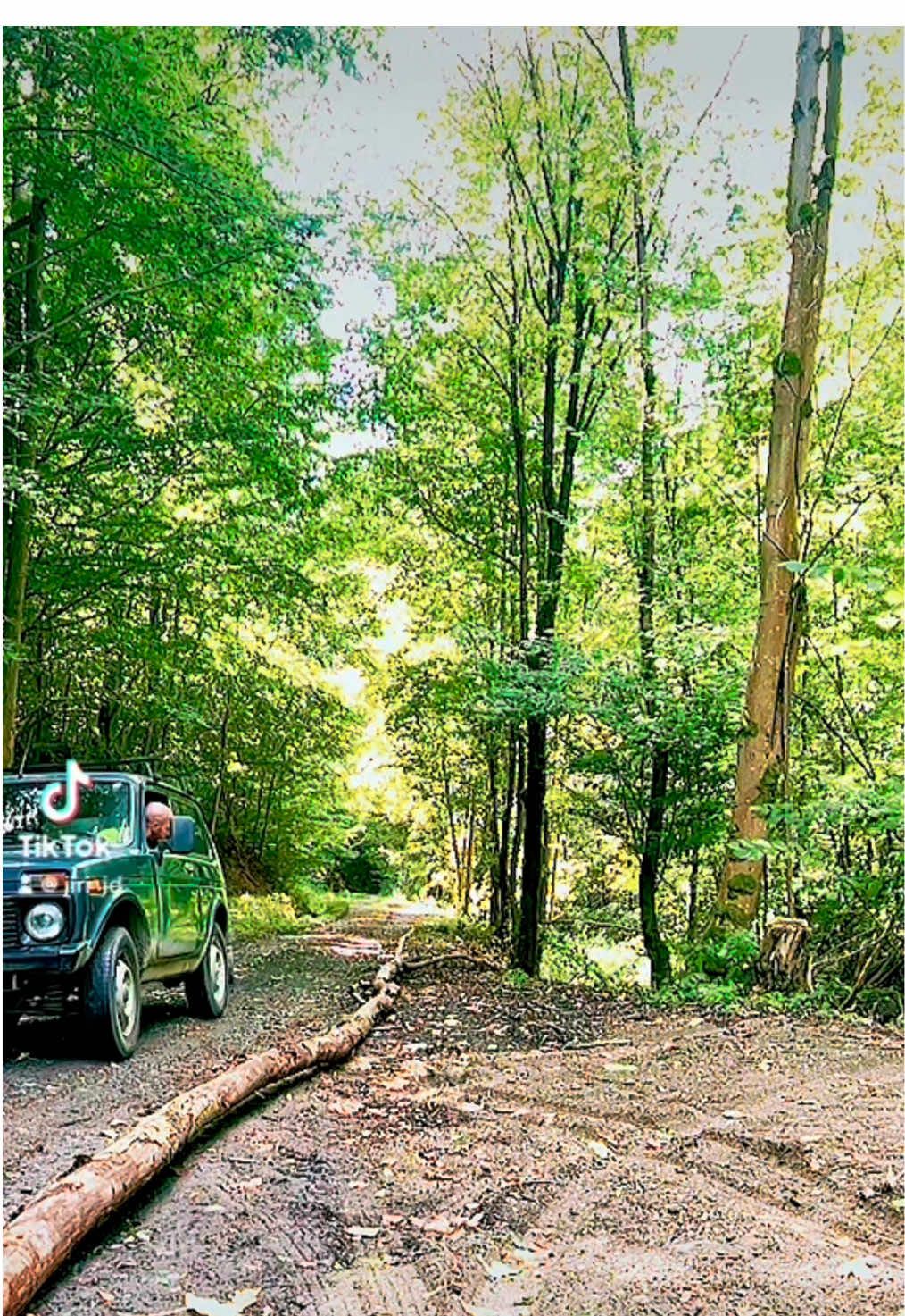 Dvě generace v lese – jeden cíl, jedna poctivá práce. 🌲💪🏻 #vklidecku #ladaniva4x4 #stihl #protebe #fyp 