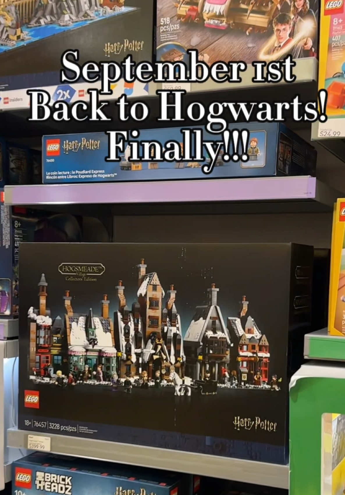 Hogsmeade™ Village - Collectors’ Edition, finally got it!! Can’t wait to build!! #lego #legoharrypotter #backtohogwarts #hogsmeadevillage 