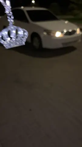 👑.