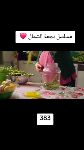 #مسلسل_نجمة_الشمال😂 