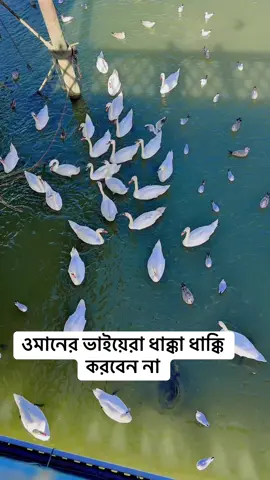 ওমানের ভাইয়েরা ধাক্কা ধাক্কি করবেন না #fyp #dubai #oman #omanbd #oman🇴🇲 #kuwait #malaysiatiktok #singaporetiktok 