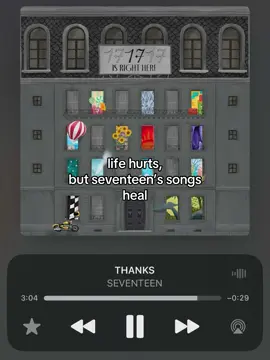 #seventeen #carats #fy 