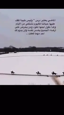 خيل#برد#