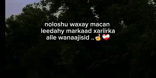 ❤️‍🩹xariir alle wnaji☝️ #somalitiktok #viraltiktok #fpy #APDULLAHI #allahuakbar @ina y4xy3🧕💕 @Sara🪷 @JiNi TuMe.🎮💫 