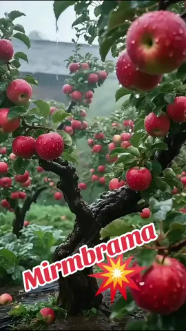 #l❤️❤️❤️ 