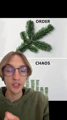 Order vs Chaos #philosophy #fyp 