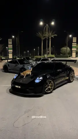 Bubbles 🎀 on da Porsche Wing 💖 #cats #catsoftiktok #cars #carsoftiktok #porsche 