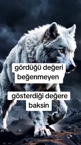 NOKTA..#değer #kefsettiktok #wolf_wolfplack #viralvideos #alfamarttiktok 