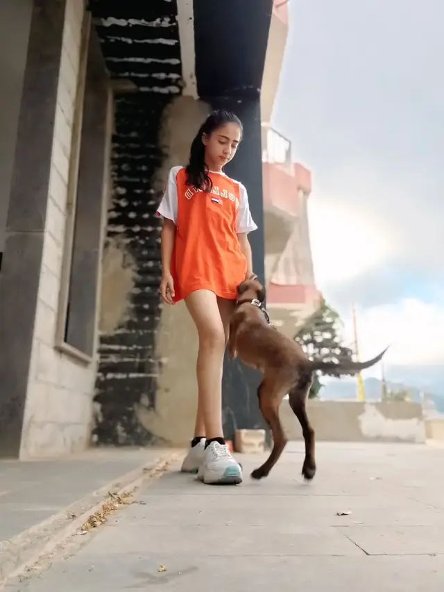 🧡🐶
