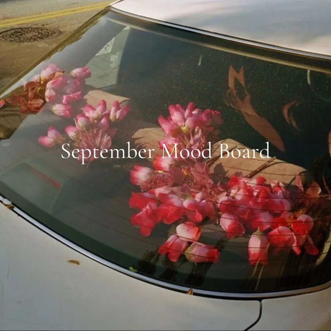 #moodboard #aesthetics #pinterest #girlhood #sofiacoppola 