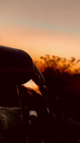 STORİLİK söz bırak
